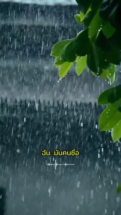 แนะนำ