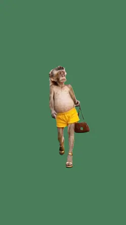 Monkey walking