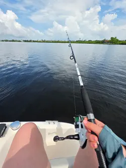 Her fishy fishy