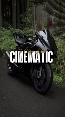 Stylee BlackMotoo-