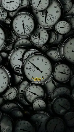 หน้าที่ของถ่าน