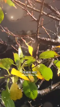 제작지원 하루명언 빗속의여인