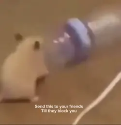 Sent to your friends