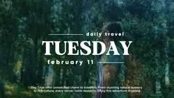 DAILY TRAVEL CINEMA