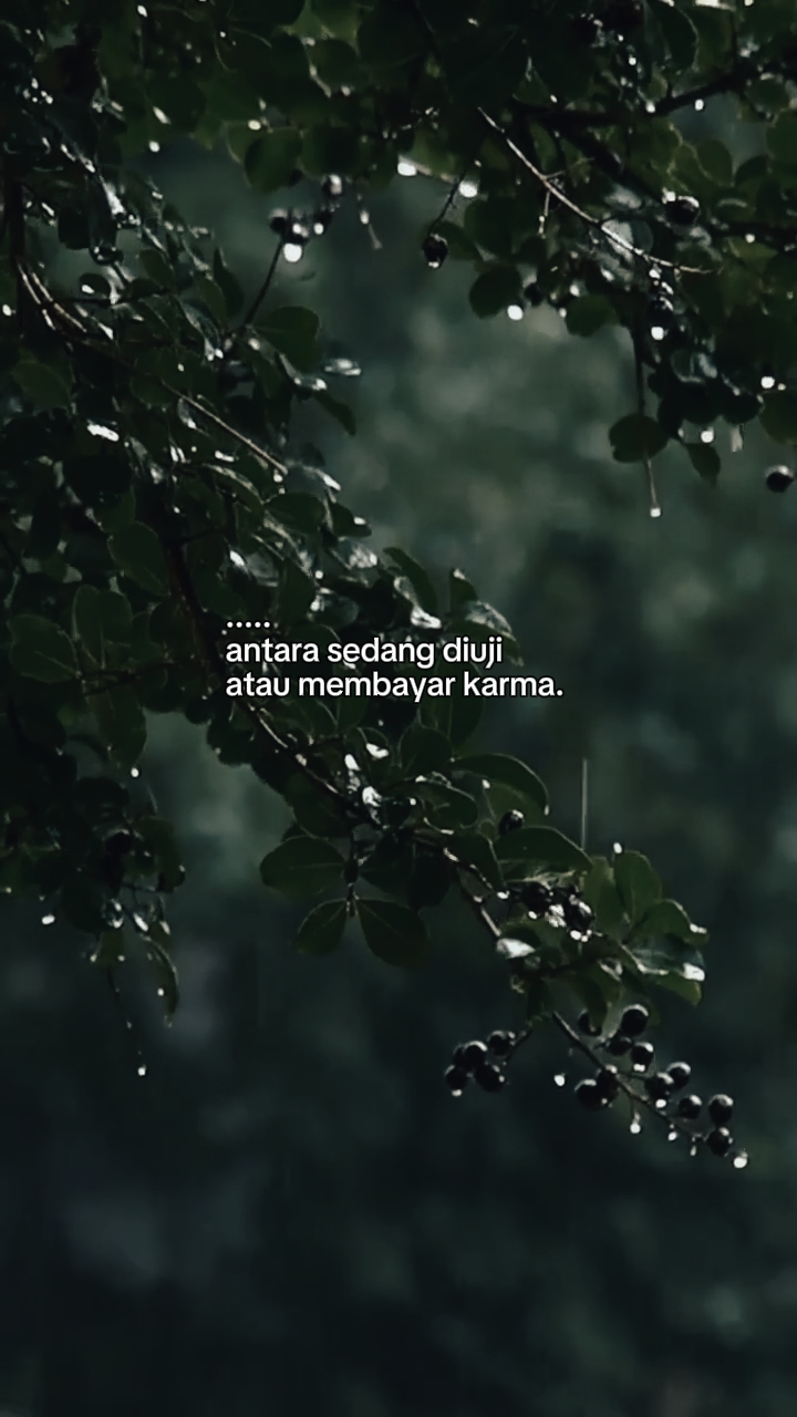 Kata-kata