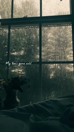 Eminem stan