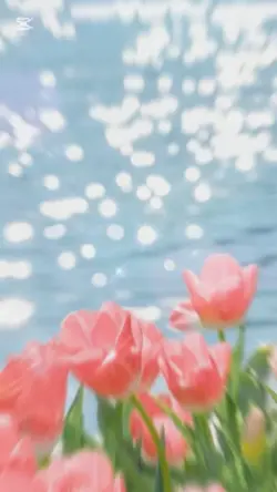 人生の扉♡竹内まりや