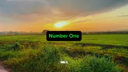 NUMBER ONE 1 
