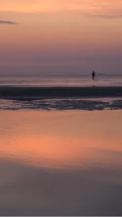 サクラキミワタシ