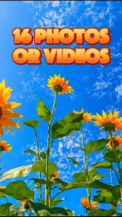 16 Photo slides