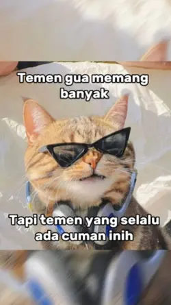 Temen gua memang