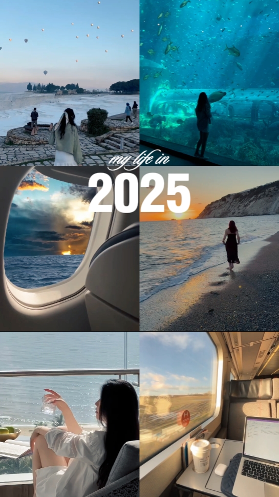 2025년 내 인생
