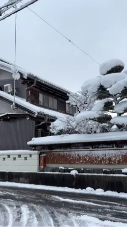 winter