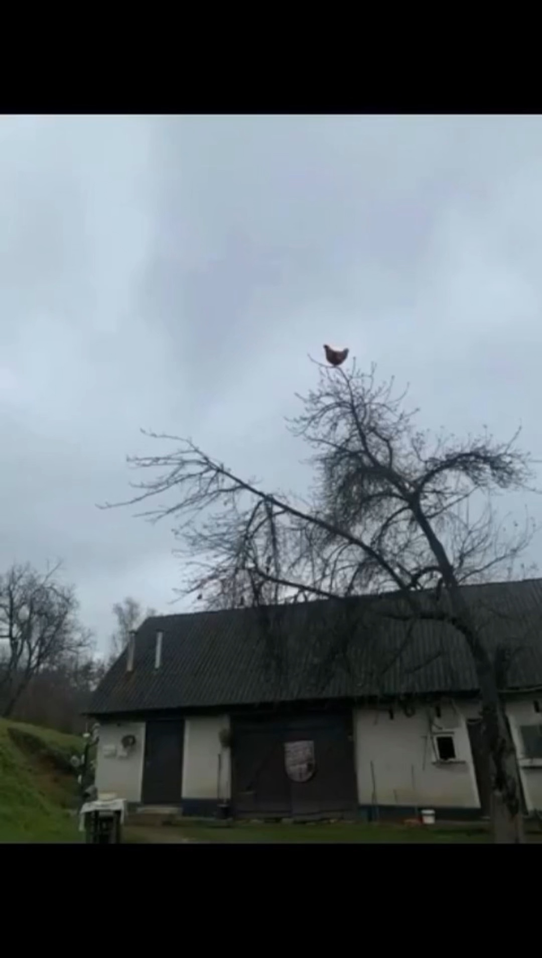 AHHHHHHHHHHHHHHHHHHH