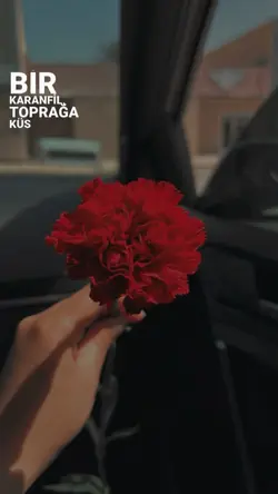 Bir Karanfil... 