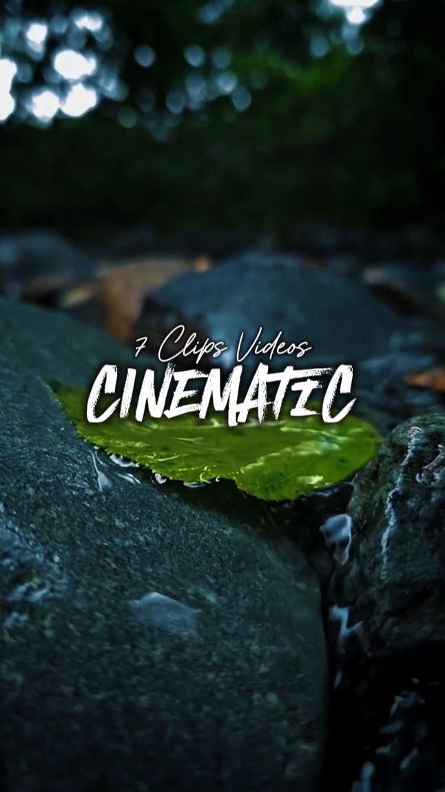 7 Clipes Vídeos