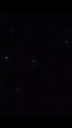 Trend Video