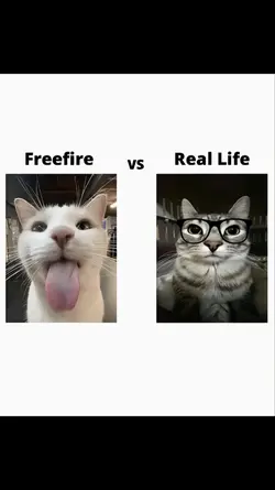 ff vs real life 