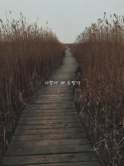 Love Always Run Away