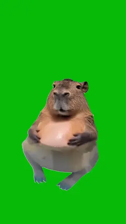 Capybara meme