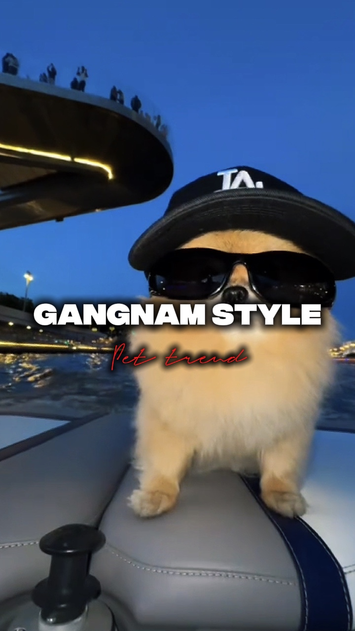 Estilo Gangnam