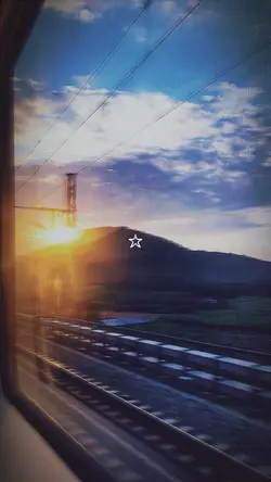 コウを追いかけて