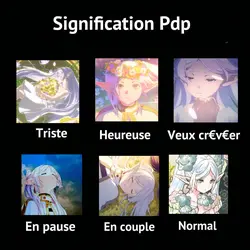 pdp sinification 