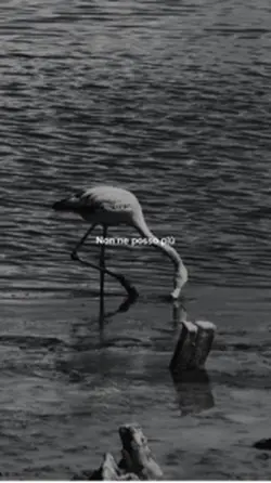 Non ne posso più…