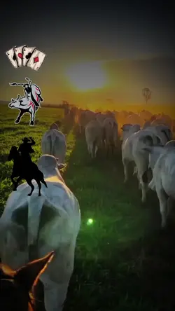 Modão sertanejo 
