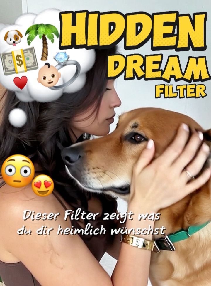 HIDDEN DREAM