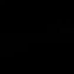 Free zoom edit