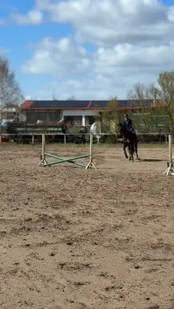 who saw the flying