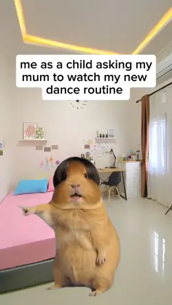 my new dance