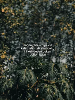 jangan terlalu dipak