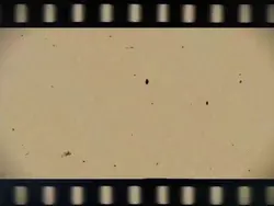 Cinematic Film