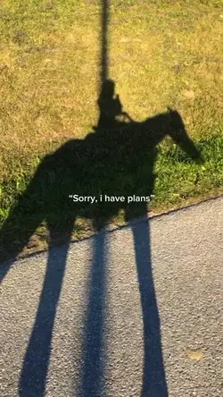 "sorry i have plan"