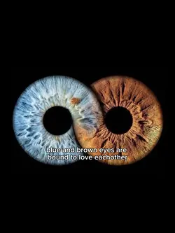 brown n blue eyes