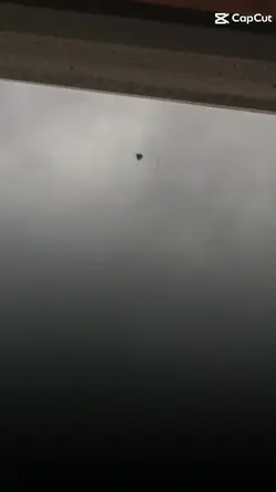 deixa eu mandar meu 