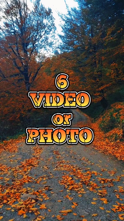 6 VİDEO VEYA FOTOĞRAF 