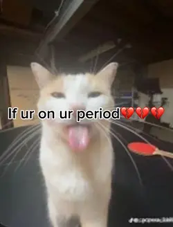 LEAVE THEM ALONE!!!!