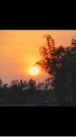 Mẫu 