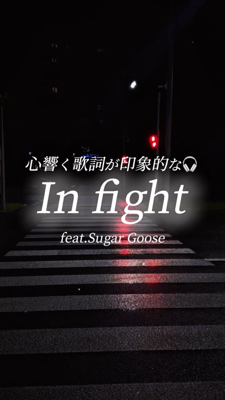 Infight/SugarGoose