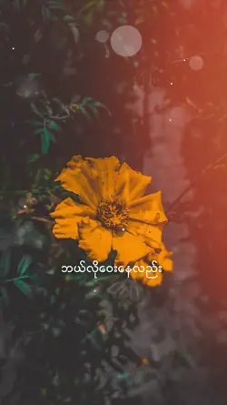 ဘယ်လိုဝေးနေလည်း