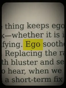 show your EGO]