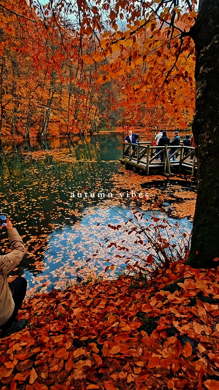Herbstvibes