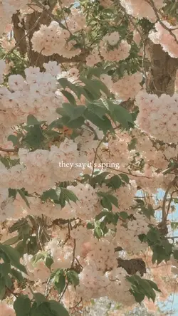 They say it's spring