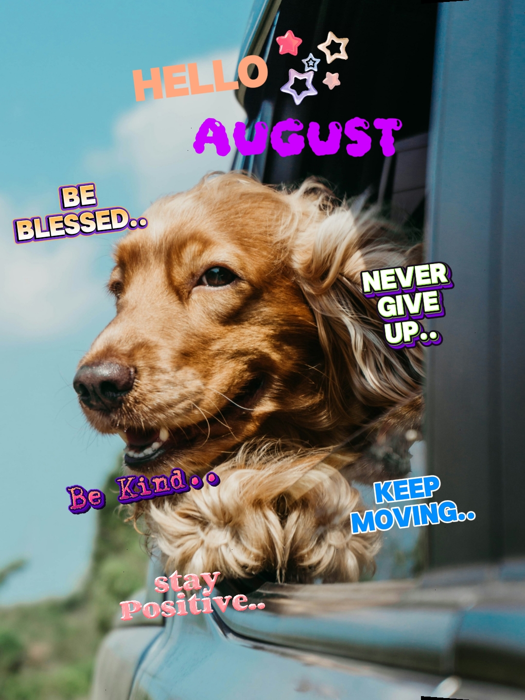 Olá agosto