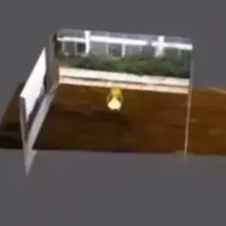 It’s your birthday