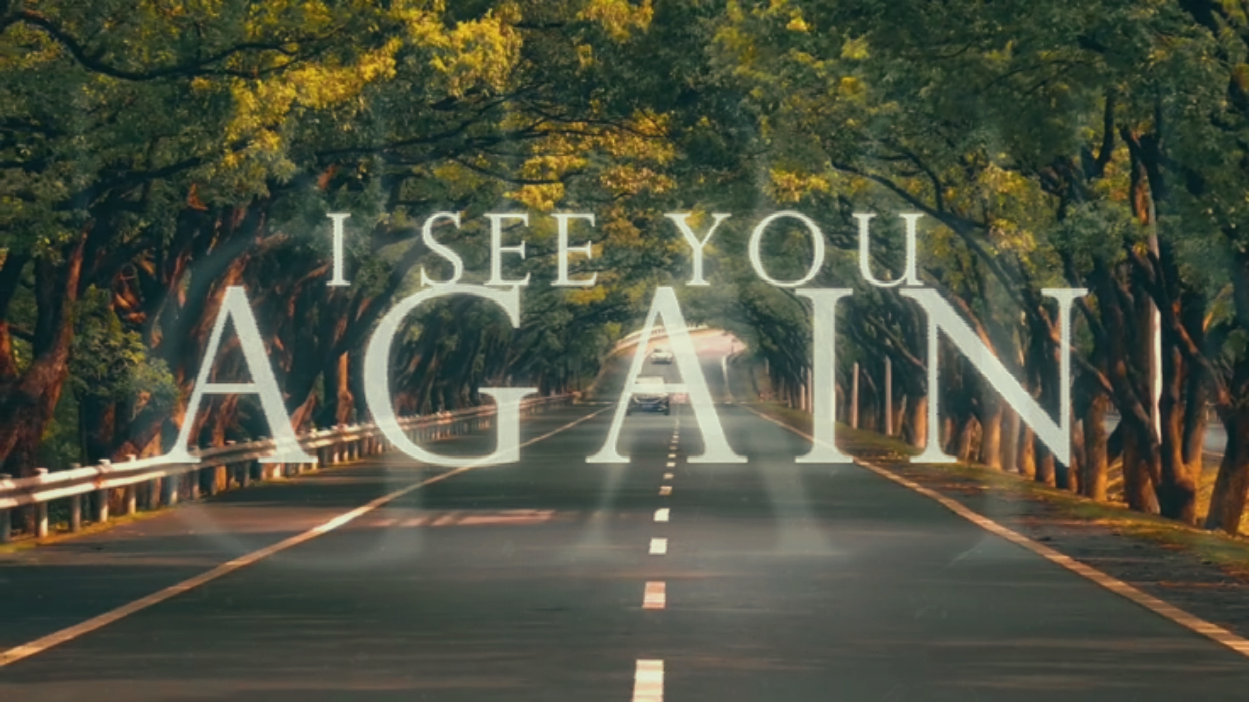 Te veo de nuevo 