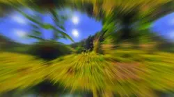 Kin chana slow color